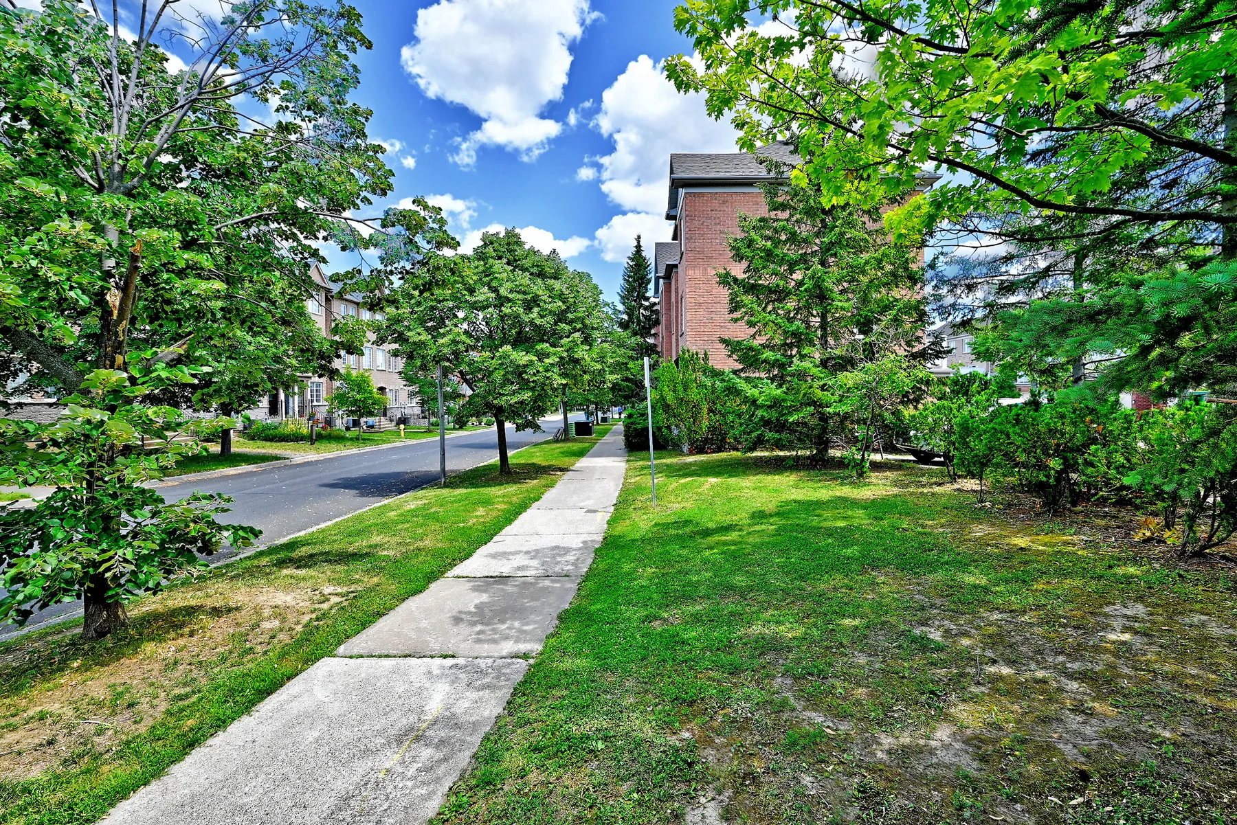 Tree-lined neighbourhood setting